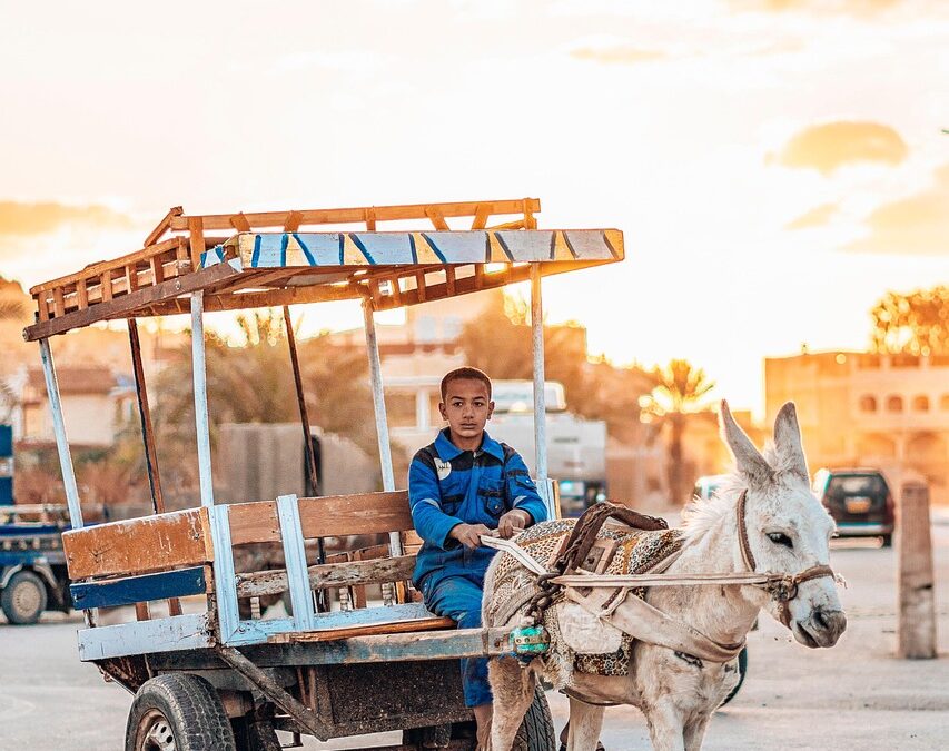 Mengoptimalkan Potensi Desa Cakung Timur Melalui PKK