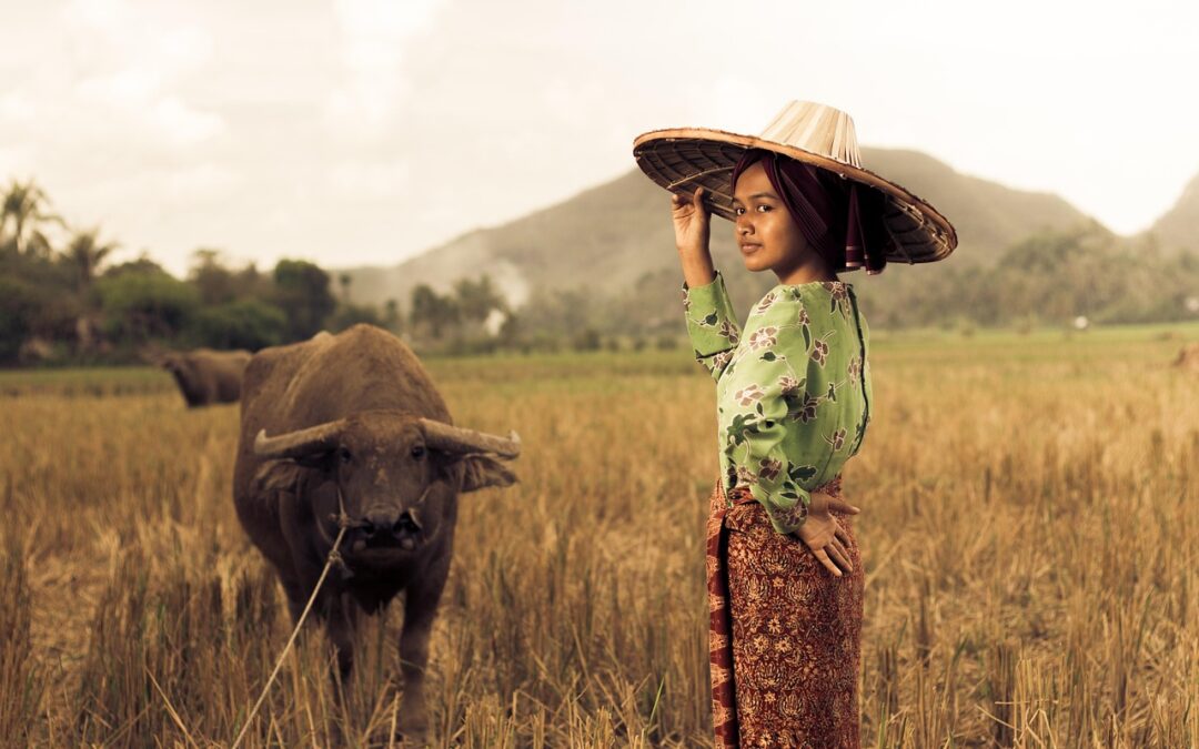 Dampak Positif Program PKK terhadap Angka Pemberdayaan Perempuan di Desa Cakung Timur