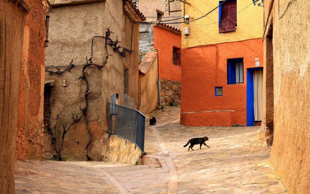 Mengoptimalkan Sumber Daya Alam Melalui Digitalisasi di Cakung Timur